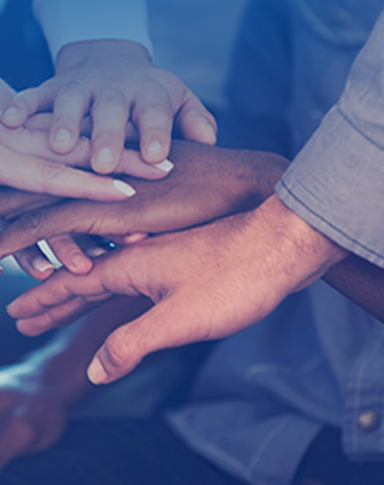 必赢亚洲·bwin(中国)唯一官方网站